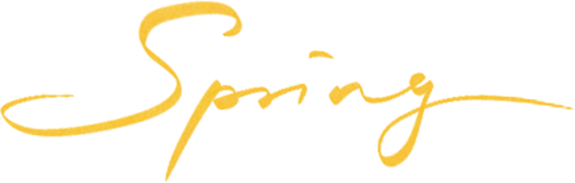 wxsync 2025 11 3492c701c12b13cc543a35f520560cd7