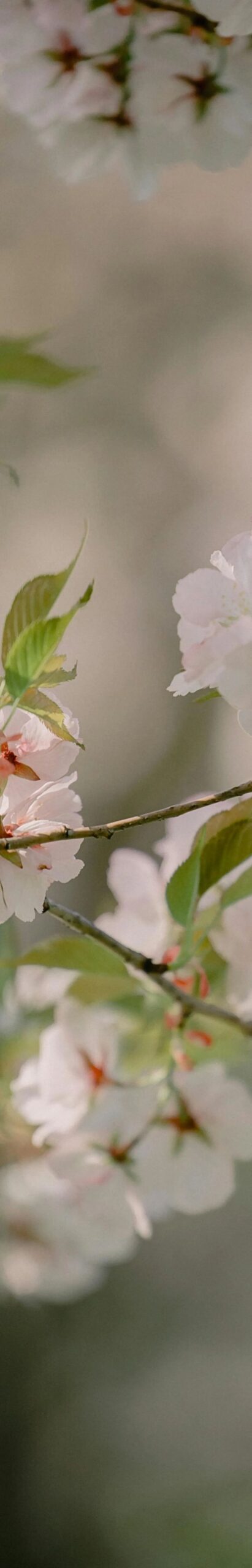 wxsync 2025 11 63dd82da47234986d99d0b3f3731a70a scaled