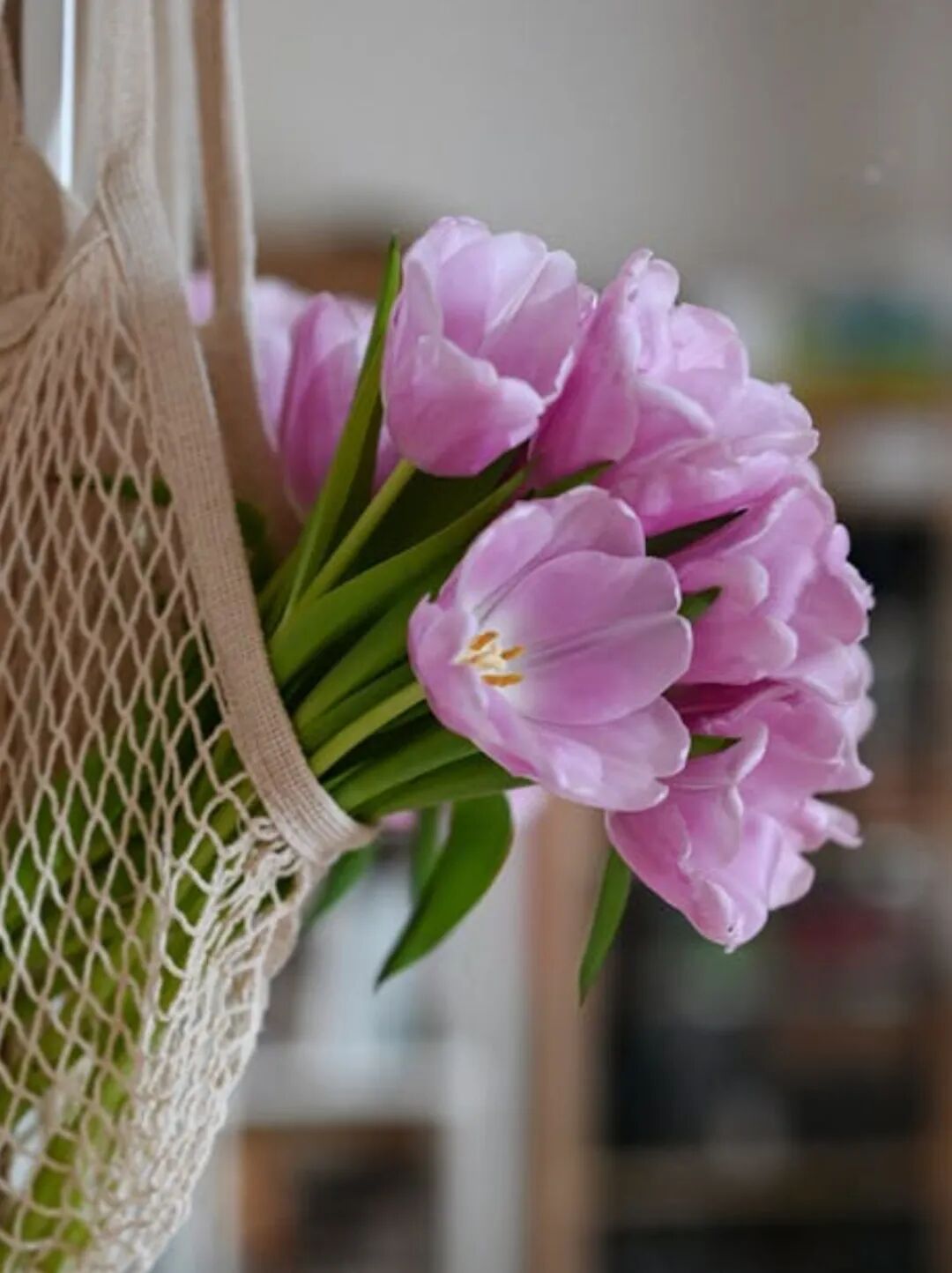 wxsync 2025 11 96f123a69566c07d5d3c2ddfb67e469c