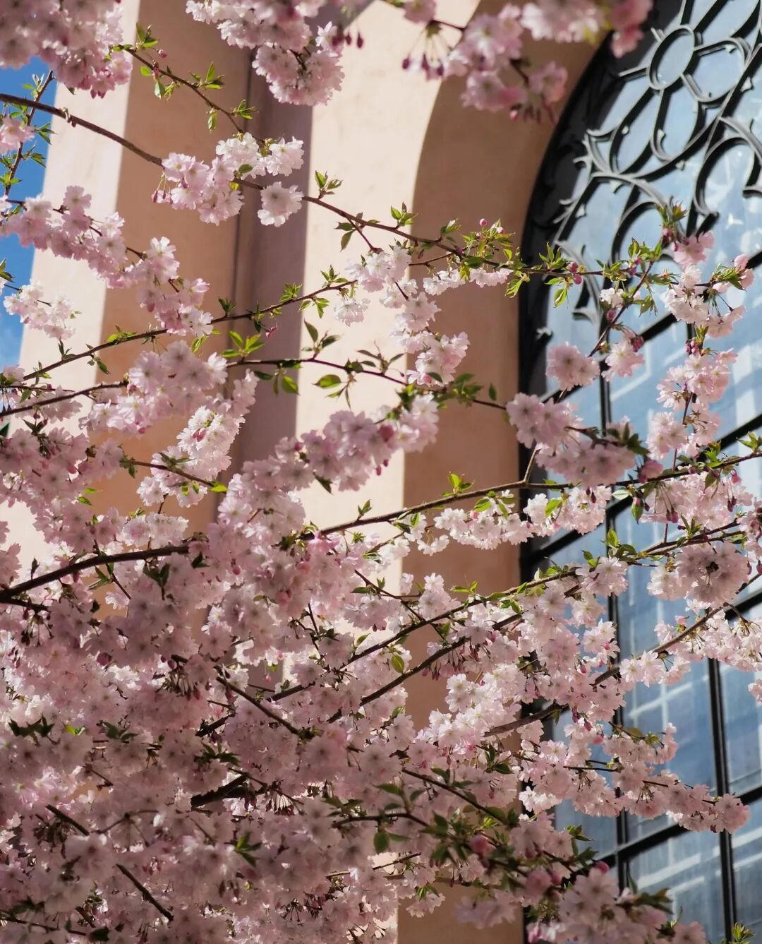 wxsync 2025 11 9ce18557a737361a4e303b9a62ab2e5a